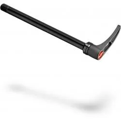 Pevná osa DT Swiss RWS X12 148/12 mm Boost - M12x1, 168,5 mm